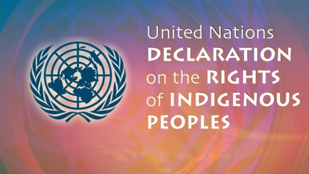 Why India Should Change its Stance on the UNDRIP: A Case Study